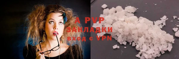 гашик Арсеньев