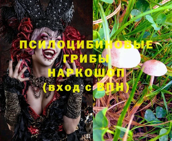 крисы Алзамай
