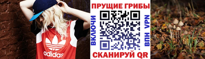 Галлюциногенные грибы Magic Shrooms  Новодвинск 