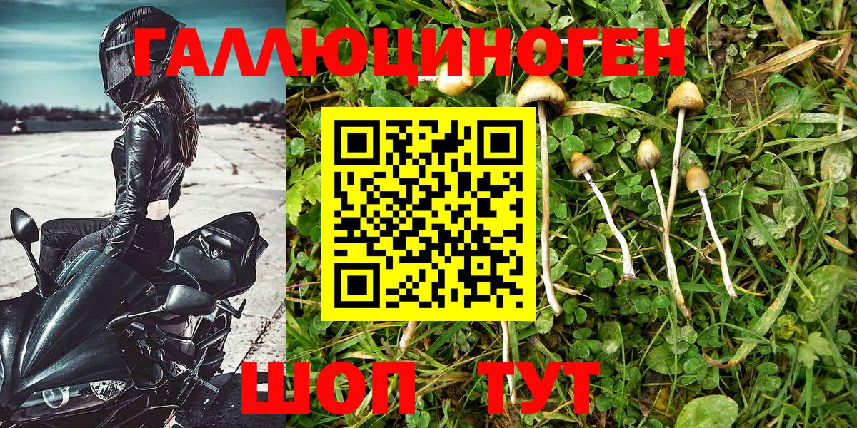 Новодвинск  что такое   Вход с VPN  Галлюциногенные грибы MAGIC MUSHROOMS 