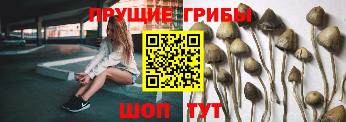 Галлюциногенные грибы Magic Shrooms Новодвинск