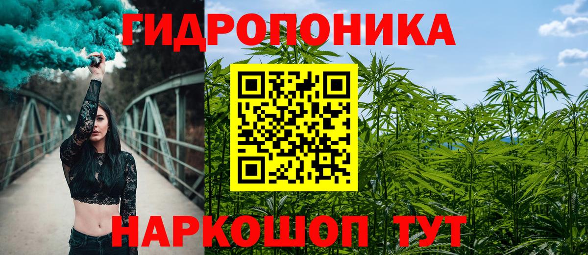 Бошки Шишки Amnesia  Вход с VPN  Каннабис конопля  Канабис конопля  Новодвинск 
